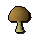Bittercap mushroom