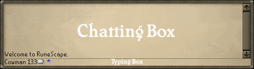 You find this below your game window