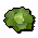 Cabbage