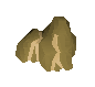 Clay
