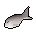 Raw Herring