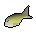 Raw Mackerel