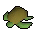 Raw Sea Turtle