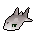 Raw Tuna