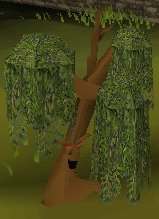 Ents