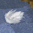 Whirlpool