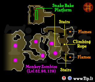 temple map not showing