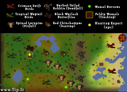 jungle_region_map.png