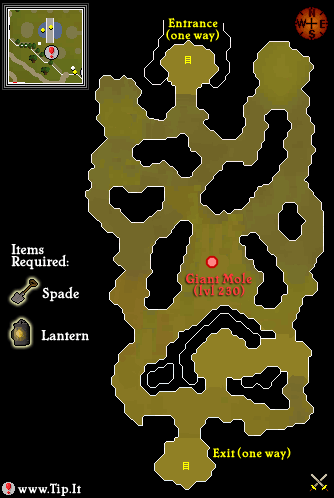 mole_lair.png