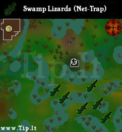 swamp_region_map.png