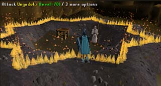 57_fire_octagon.jpg