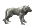 Ice Wolf -2-