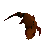 Cave lizard