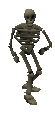 Skeleton -24-