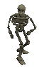 Skeleton -26-