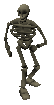 Skeleton -27-