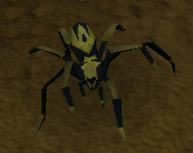Blessed spider