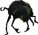 Small Scarab