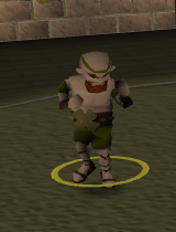 Leprechaun Champion