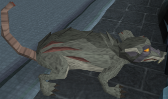 Giant rat -dungeoneering-