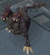 Hydra