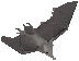 Bat -dungeoneering-