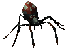 Night spider