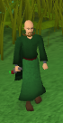 Guthix wizard
