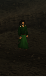 Guthix wizard -2-