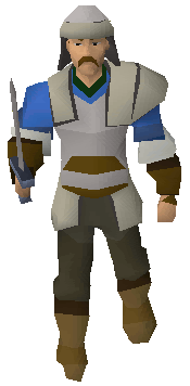 Lumbridge guard