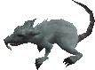 Giant Rat -6-