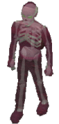 Ankou -dungeoneering-