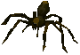 Dungeon spider -saga-