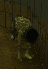 Skeleton -Trekking 1- 