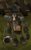 Troll mage commando