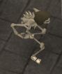 Bones