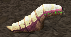Young grotworm