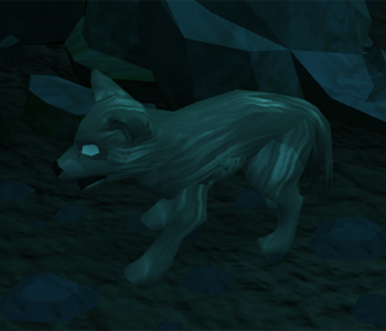 Juvenile wolf