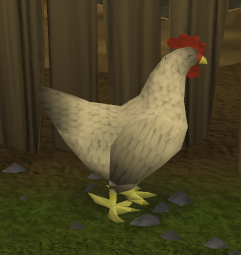 Chicken -Miscellenia-Etceteria