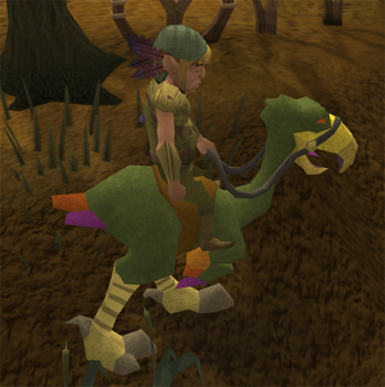 Mounted terrorbird gnome