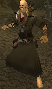 Zamorakian blackguard