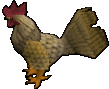 Evil Chicken -Dom-