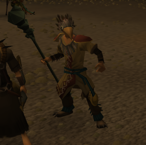 Dragon-hunter mage