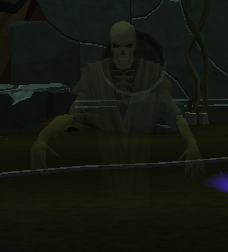 Ghostly wraith  -The World Wakes-