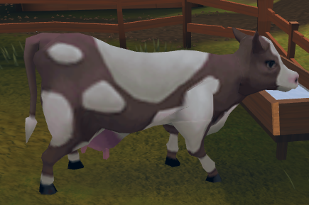 Cow