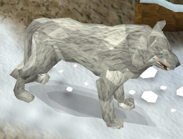 Wolf -4-