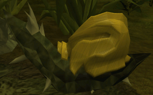 Ochre Blamish Snail -2-
