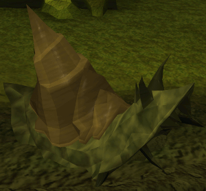 Myre Blamish Snail