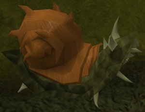 Bark Blamish Snail