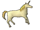 Unicorn Foal